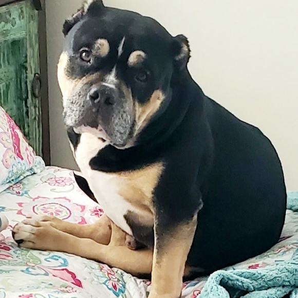 Meet your Posher, Love - Picture 2 of 8